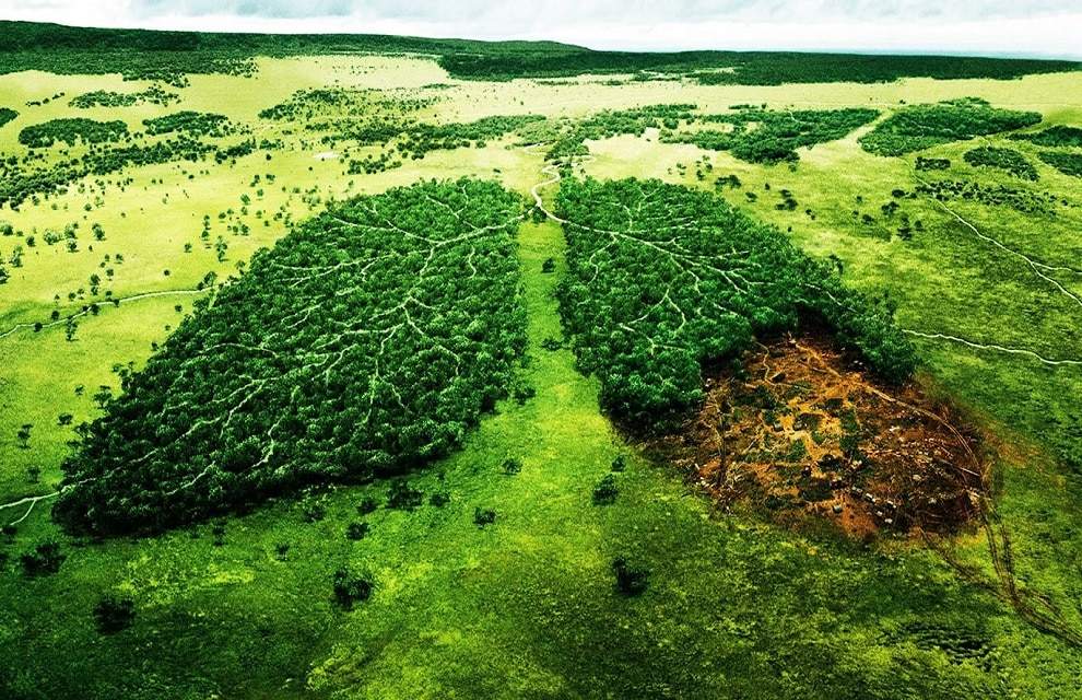 Campanha Ecologica