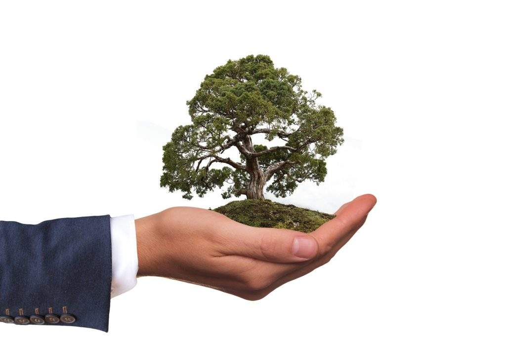 environment 2948299 1920